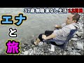 迂闊な動きは死につながる　【３７歳 無職 家なし 生活 １２日目】