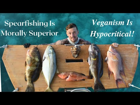 Video: Er spearfishing bæredygtigt eller ubæredygtigt?