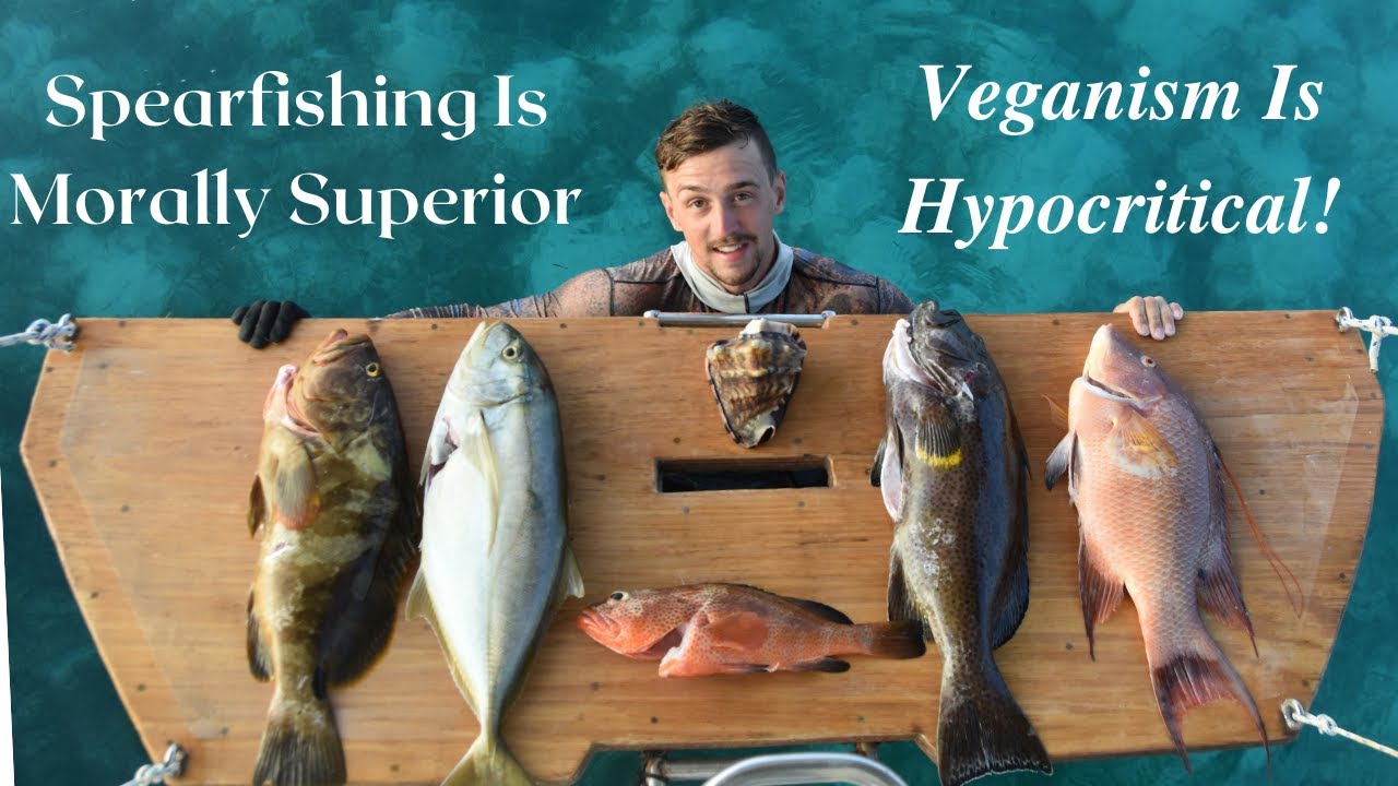 Why Spearfishing IS Better Than Being Vegan