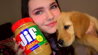 ASMR Puppies Eat Peanut Butter For The First Time ♥️