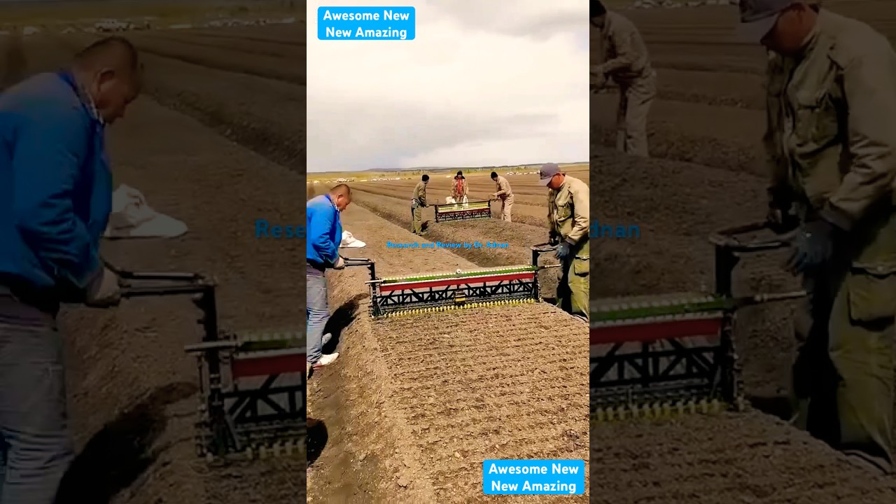 Beautiful seed sowing couple machine in China 