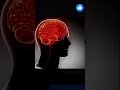 நீங்கள் இறந்த பிறகும் மூளை வேலை செய்கிறது 😱🧠 #tamilshorts #brain  #facts #shortsfeed