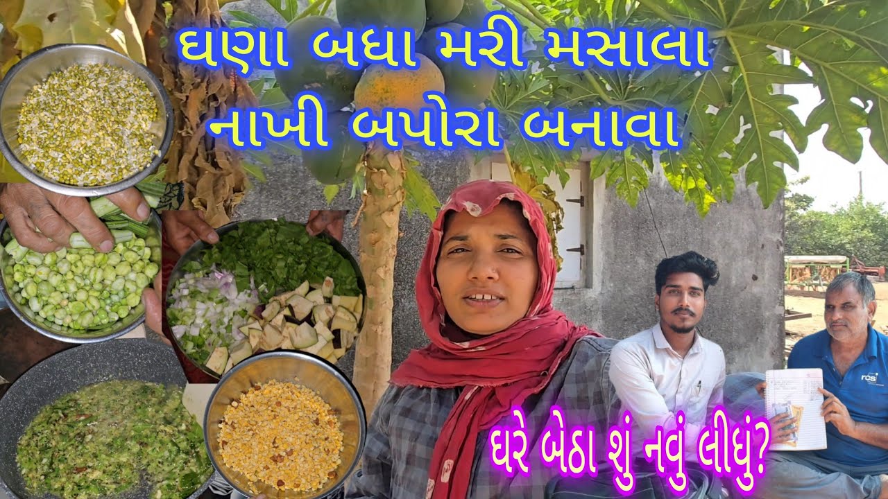 ઘરે બેઠા શું નવું લીધું 🤔? || કેટલી જાતના મરી મસાલા નાખી બપોરા બનાવા? ||#village #food #dailyvlog #