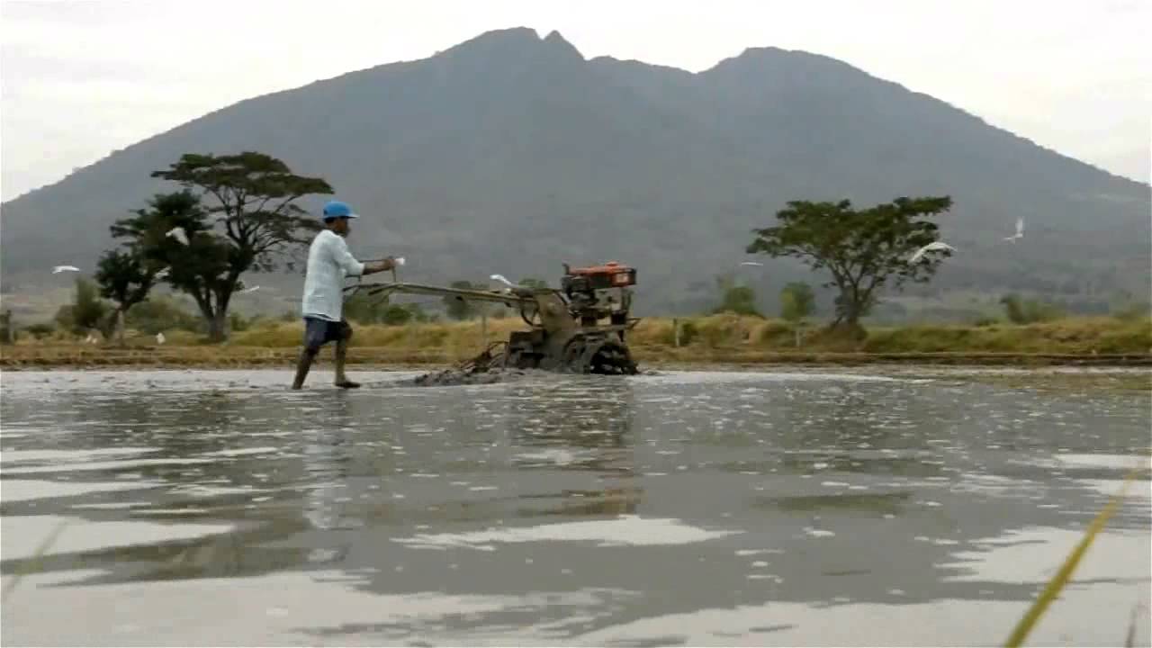 The Reduced Tillage Technology