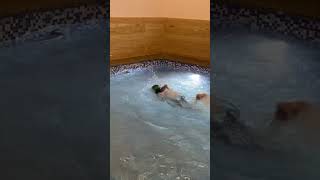 Swimming #summer #pool #swimming #water #beginners #shorts #waterbaby #freestyle #fitness #swimtok