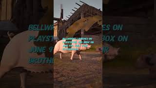 Bellwright Tips and Tricks for New Players #bellwrightconsole #Bellwright #BellwrightGameplay