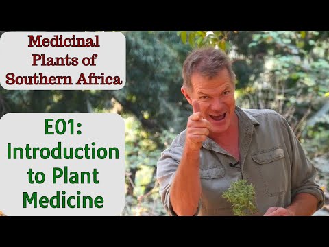 Video: Sjevernoafričko bilje i začini - Kako uzgajati sjevernoafričko bilje u vrtu