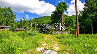【夏が恋しくなる】ノスタルジックな田舎の原風景12選 - Japan in 8K