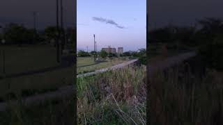 IMG 6444 HEVC
