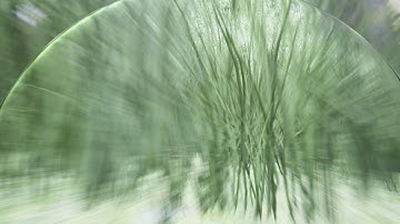 Runoff full video | Unreal Engine 4 | After Effects