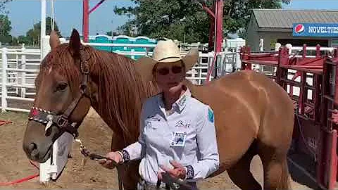 Nano-Q10 for Hardworking Barrel Horses