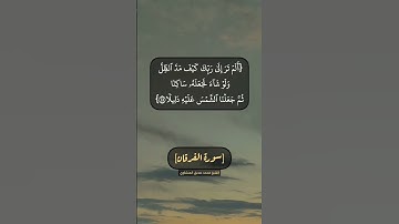 سورة الفرقان الآية ٤٤ الى ٤٧ بصوت الشيخ محمد صديق المنشاوي