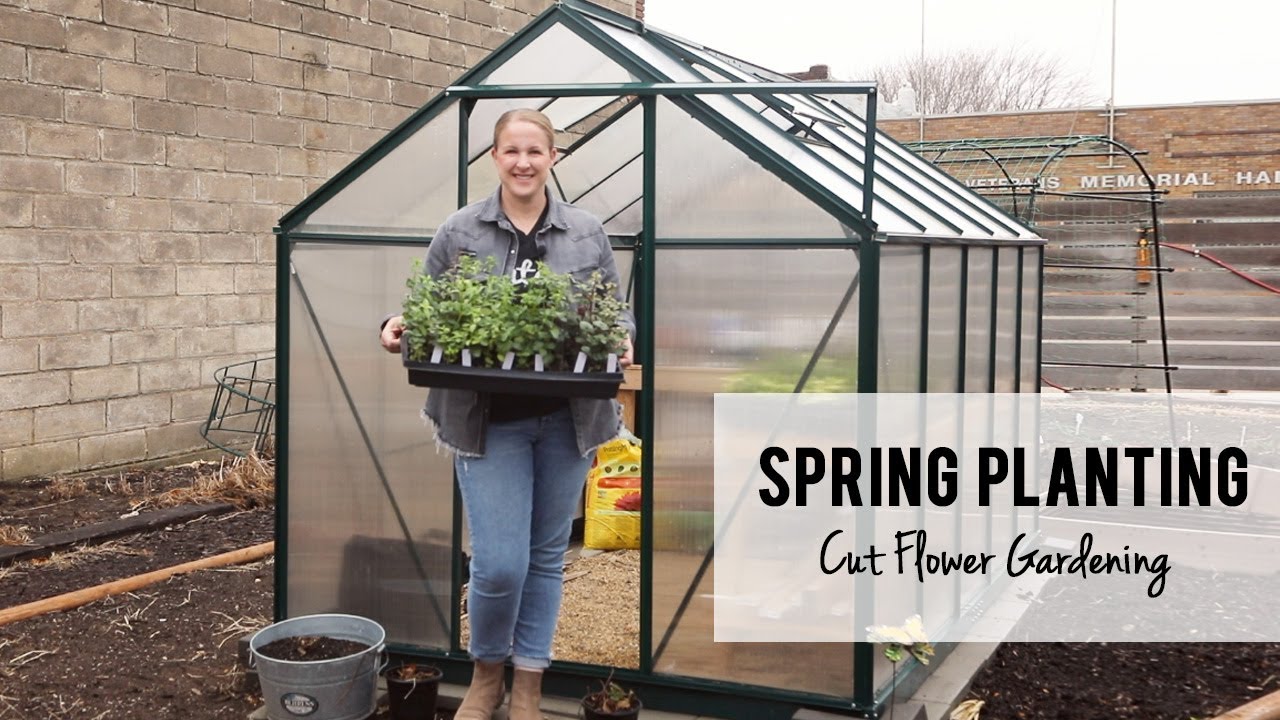 Spring Cut FLower Garden Planting & Bed Amending, Sunshine and Flora ...