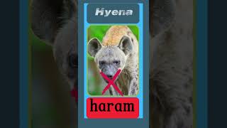 Halal and Haram animal meat in Islam Resimi