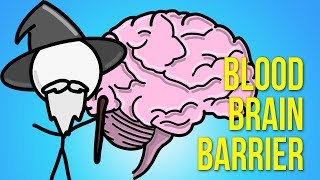 An Animated History of the Blood Brain Barrier - Why Drugs Don