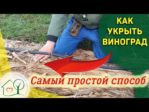 Укрытие винограда осенью. Простой способ - Камышовые маты. Николай Николаев, Херсонская обл.