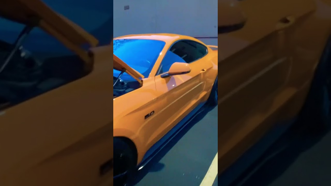 Color Matched Whipple Supercharged 2018 Mustang GT With Shelby GT500 Front Clip 