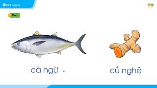 Tuan 18   Ôn tập c k g gh ng ngh