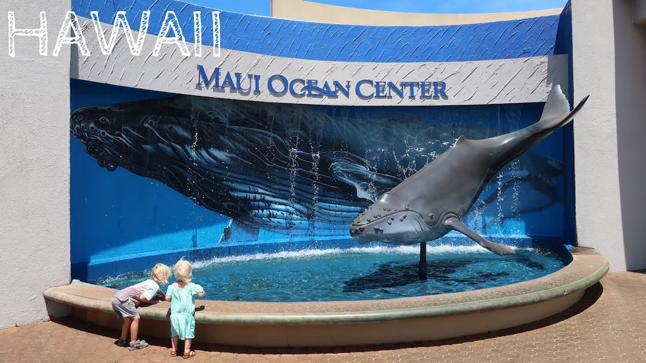 Maui Ocean Center Aquarium - MaxresDefault