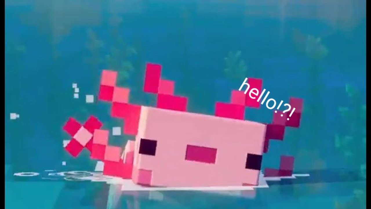 Axolotl Waving Shorts Youtube