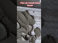 tiles me masala kaise lagaye
