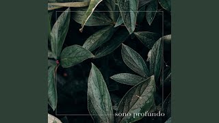 Sono profundo - Som De Chuva Para Dormir