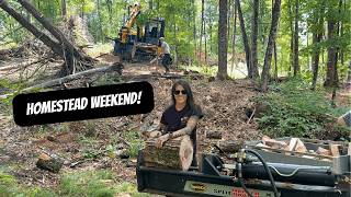 Homestead Weekend |Hunting Prep & Processing Chickens