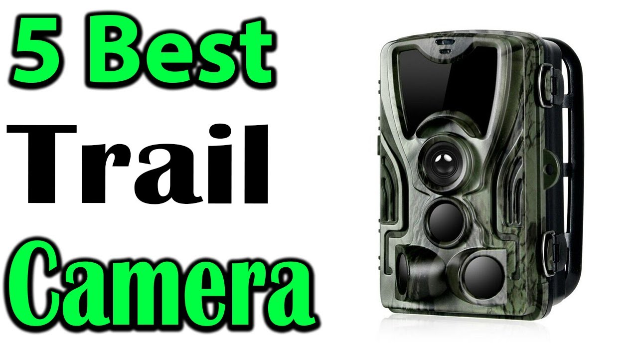 TOP 5 Best Hunting Trail Camera Review 2024 YouTube