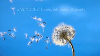 Holy Spirit images from the Bible