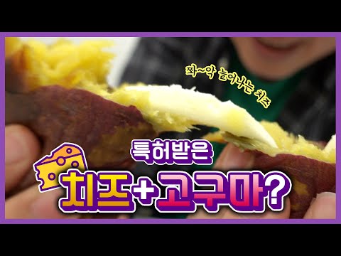 [깜짝]군고구마 속에 치즈? 맛보면 비밀이 풀릴까? #파인애플아이스고구마