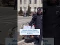 Irkutsk Animal Rights Activist Arrested Over Dog Baloons