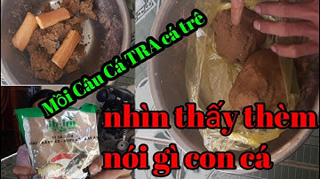 Câu Cá TV Mồi Câu Cá tra trê!Mồi Cá TRA, Cá Trê, Đơn giản Hiệu quả dễ làm ko tốn  nhiều tiền