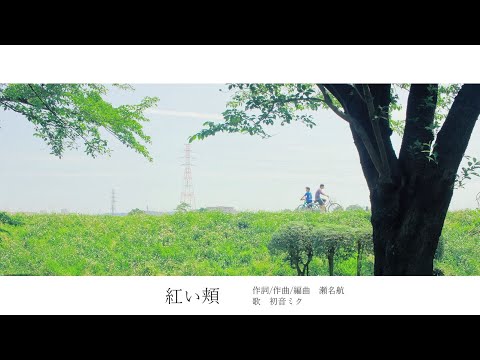 紅い頬 初音ミク Wiki Atwiki アットウィキ