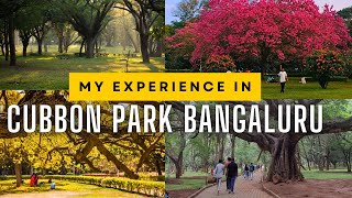 Exploring Cubbon Park 2024 | Best Couples Park in Bangalore | Complete Travel Guide
