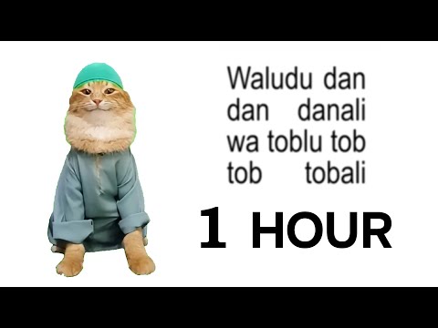 Tob Tobi Tob Tob Tobi Tob 1 Hour Muslim Cat