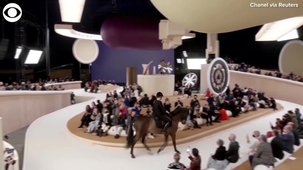 WEB EXTRA Horse Walks Runway at Chanel Fashion Show YouTube