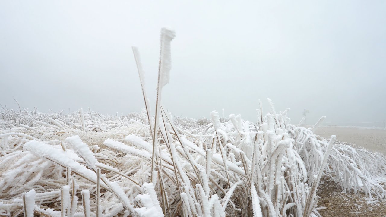 Thick Rime Icing at Lake Hefner, Oklahoma City, OK - 2/10/2021