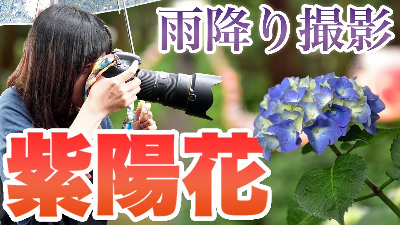 写真撮影】Nikon AF-S NIKKOR 24-70mm f2.8E ED VR と AF-S VR Micro