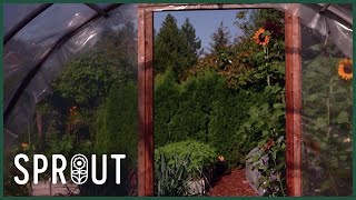 Secrets of a Thriving Organic Garden - Tips for Abundant Flowers Wildlife