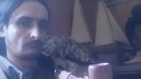 Error begets error- Perpetual frenzy 