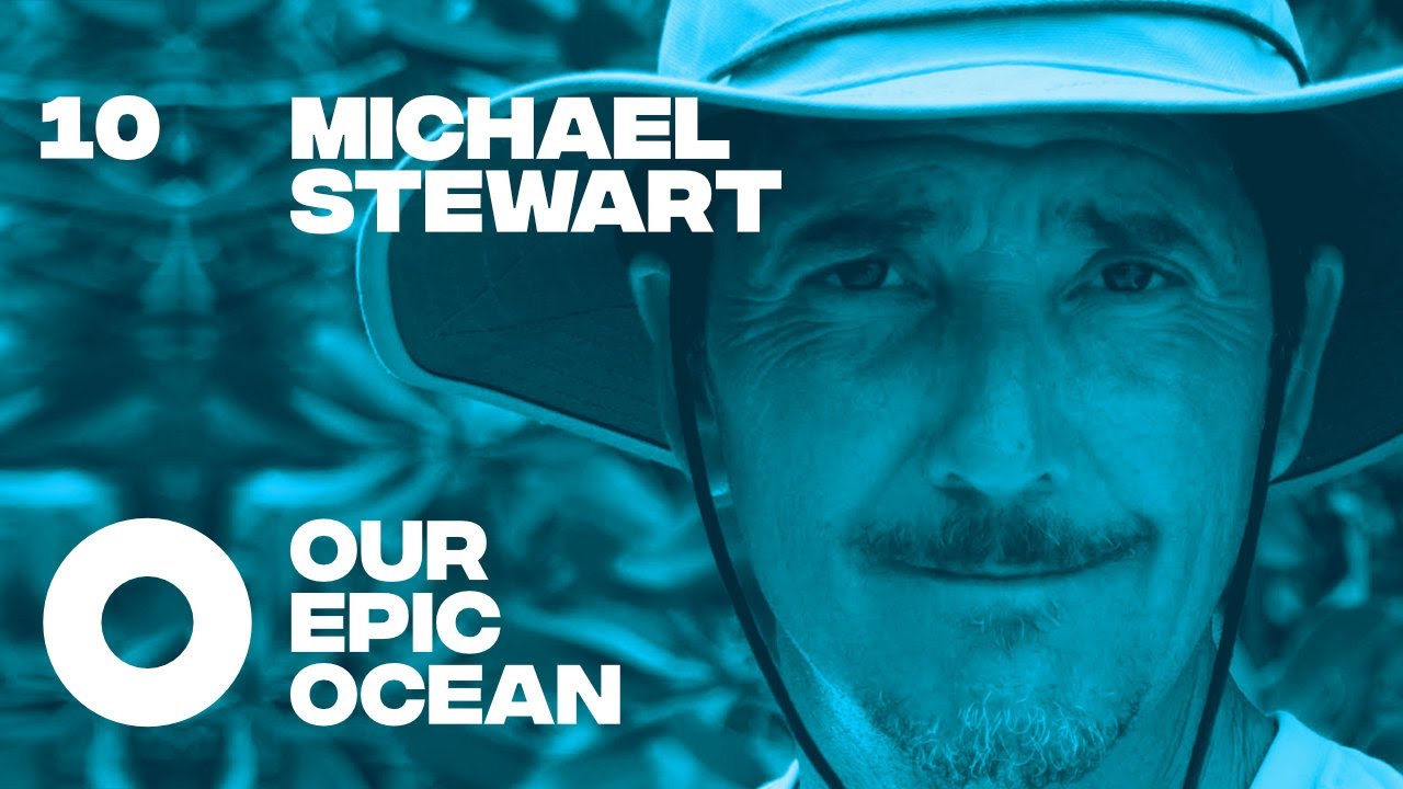 Michael Stewart - Social Entrepreneur. Surfer. Founder Sea Trees and Sustainable Surf. |  EP 10