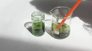 Carbon dioxide in indicator solution