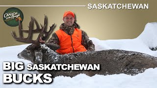 Late Season Deer Abundance in Saskatchewan | Canada in the Rough