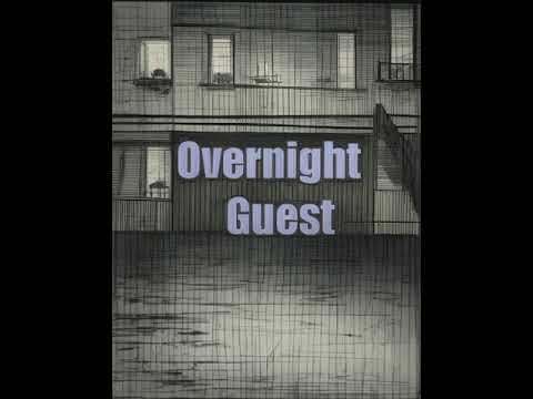 Overnight  Audiobook Mystery