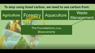 Famous Introduction to Renewable Fuels: What, How and Why? Revised April 2026 Wealth