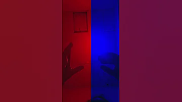 8 April 2025 