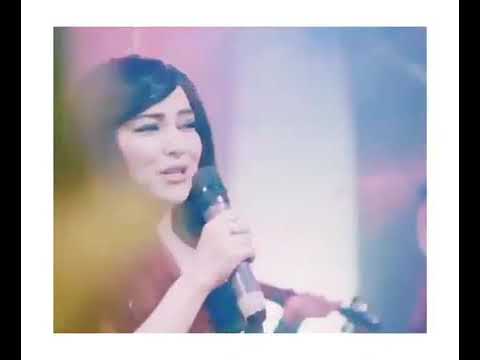 من بين كل الناس طلت حلوة وقالت أمل عرفة شارع شيكاغو