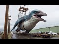 Incredible Facts About the Shearwater Bird"