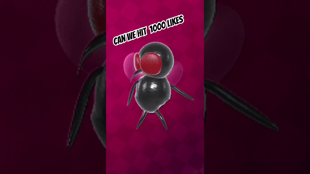 Can we hit 1000 likes???