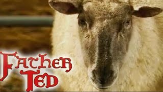 Chirpy Burpy Cheap Sheep | Father Ted | Season 3 Episode 2 | Full Episode
